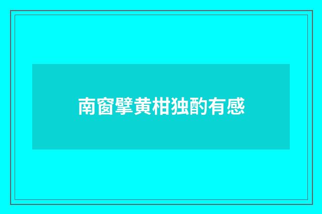 南窗擘黄柑独酌有感