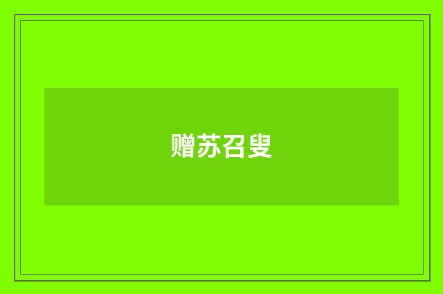 赠苏召叟