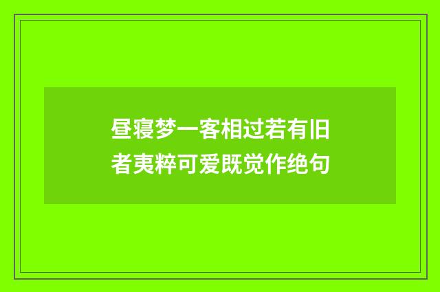 昼寝梦一客相过若有旧者夷粹可爱既觉作绝句