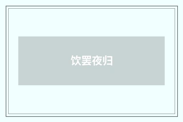 饮罢夜归