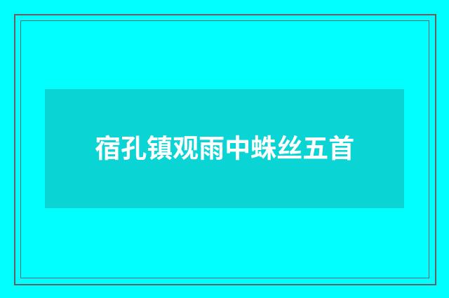 宿孔镇观雨中蛛丝五首