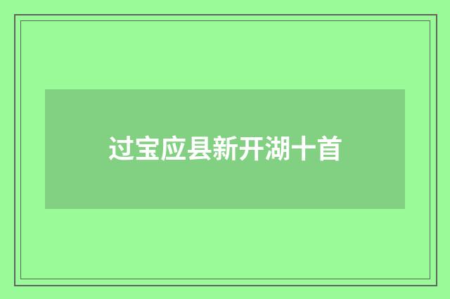 过宝应县新开湖十首