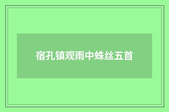 宿孔镇观雨中蛛丝五首