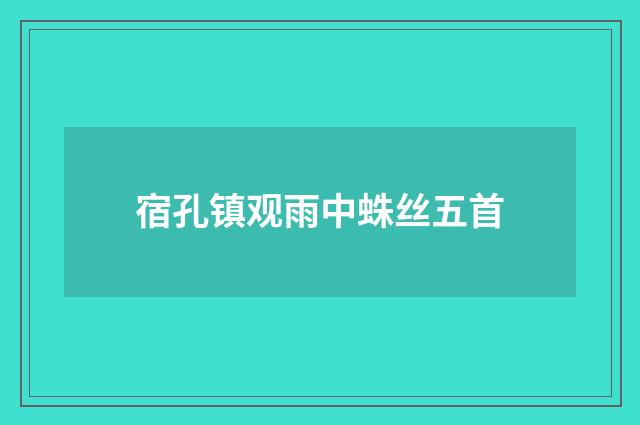 宿孔镇观雨中蛛丝五首