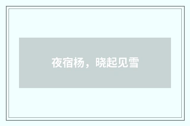 夜宿杨，晓起见雪