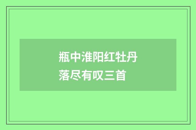 瓶中淮阳红牡丹落尽有叹三首