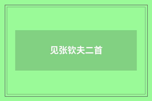 见张钦夫二首