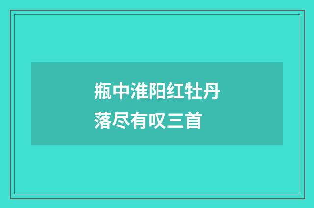 瓶中淮阳红牡丹落尽有叹三首