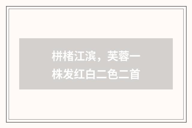栟楮江滨，芙蓉一株发红白二色二首