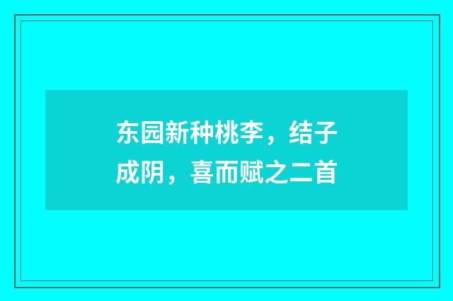 东园新种桃李，结子成阴，喜而赋之二首