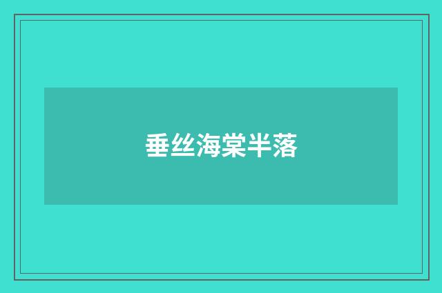 垂丝海棠半落