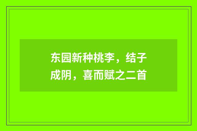 东园新种桃李，结子成阴，喜而赋之二首