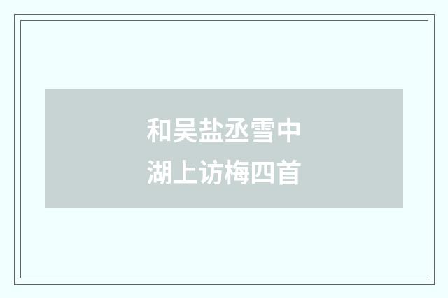 和吴盐丞雪中湖上访梅四首