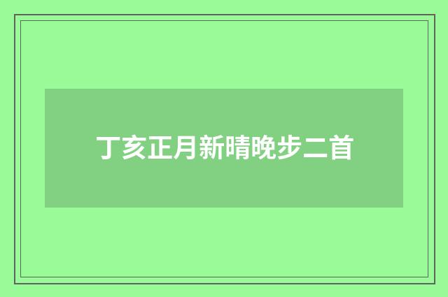丁亥正月新晴晚步二首