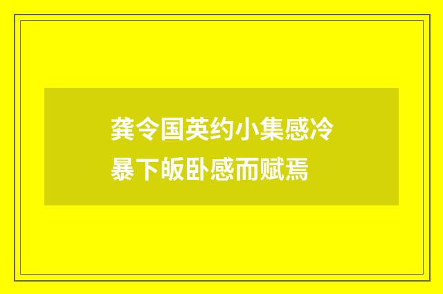龚令国英约小集感冷暴下皈卧感而赋焉