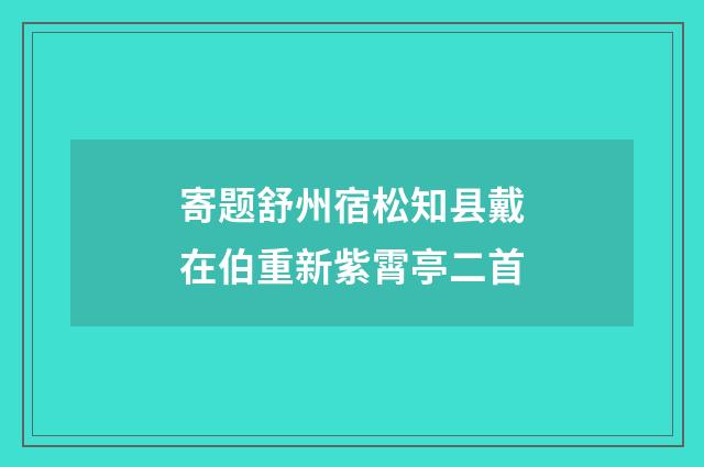 寄题舒州宿松知县戴在伯重新紫霄亭二首