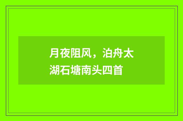 月夜阻风，泊舟太湖石塘南头四首