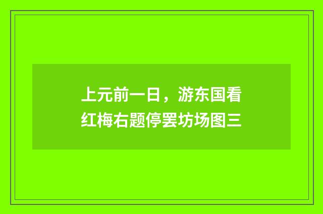 上元前一日，游东国看红梅右题停罢坊场图三