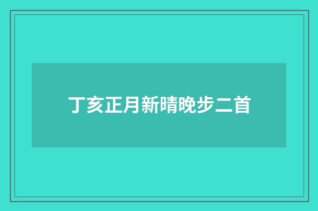 丁亥正月新晴晚步二首
