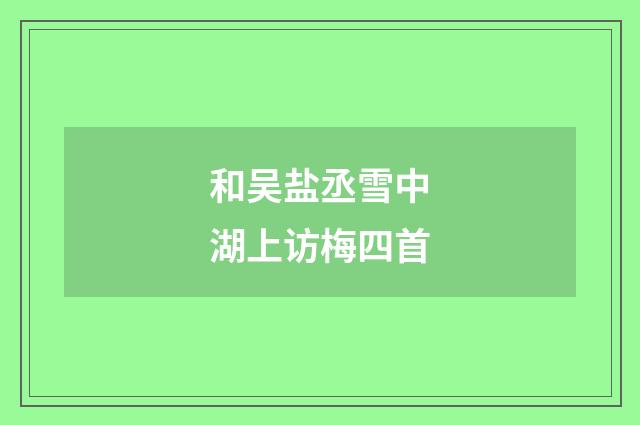 和吴盐丞雪中湖上访梅四首