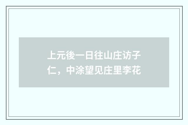 上元後一日往山庄访子仁，中涂望见庄里李花