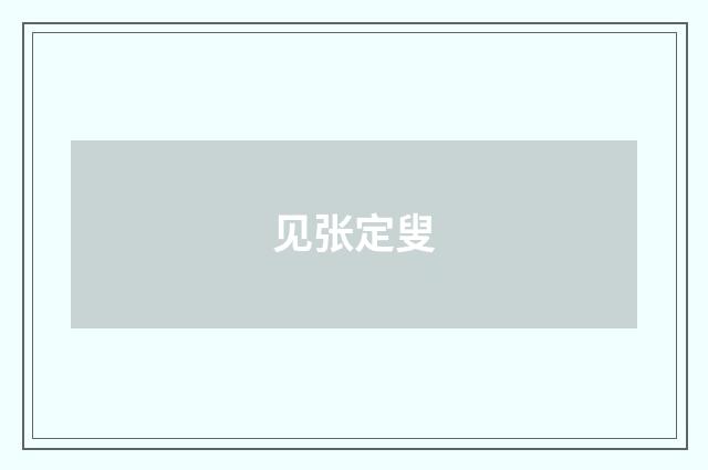 见张定叟