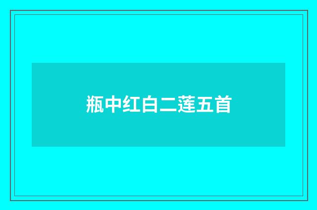 瓶中红白二莲五首