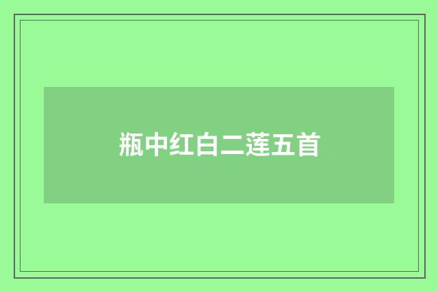 瓶中红白二莲五首