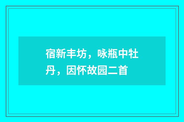 宿新丰坊，咏瓶中牡丹，因怀故园二首
