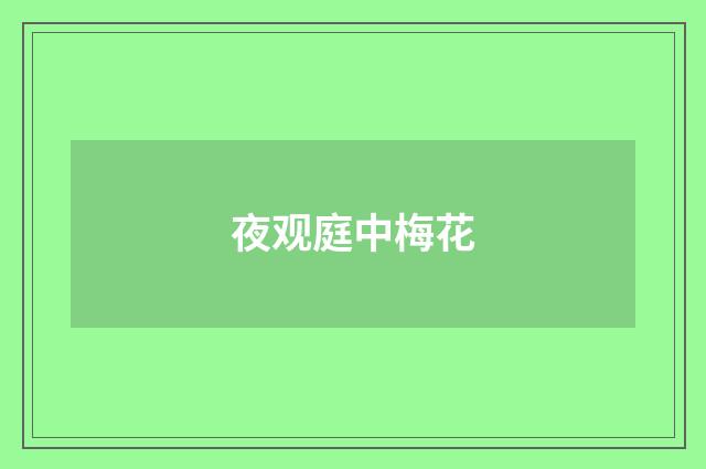 夜观庭中梅花