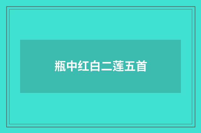 瓶中红白二莲五首