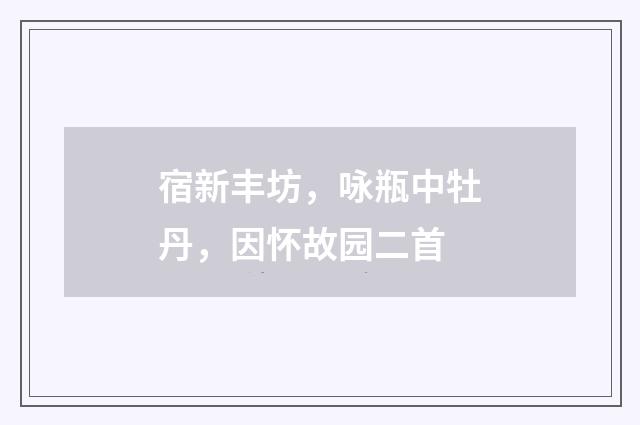 宿新丰坊，咏瓶中牡丹，因怀故园二首