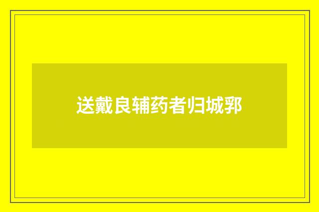 送戴良辅药者归城郛