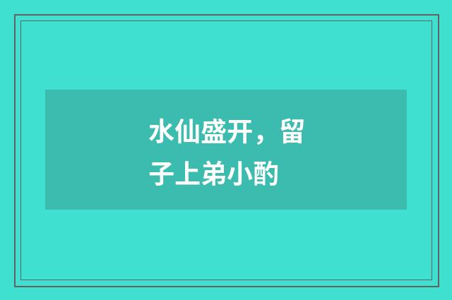 水仙盛开，留子上弟小酌