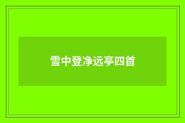 雪中登净远亭四首