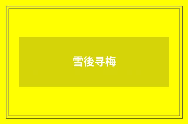 雪後寻梅