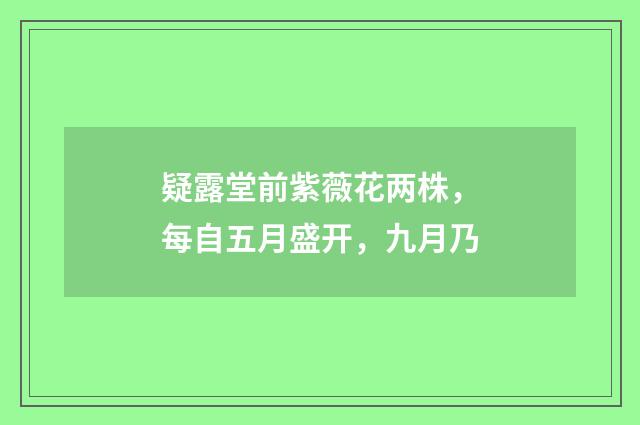 疑露堂前紫薇花两株，每自五月盛开，九月乃