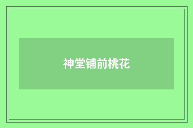 神堂铺前桃花