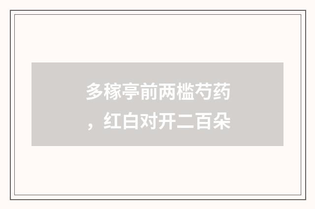 多稼亭前两槛芍药，红白对开二百朵