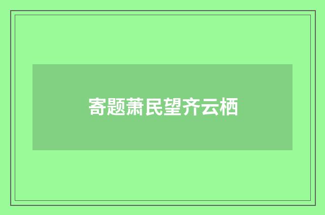 寄题萧民望齐云栖
