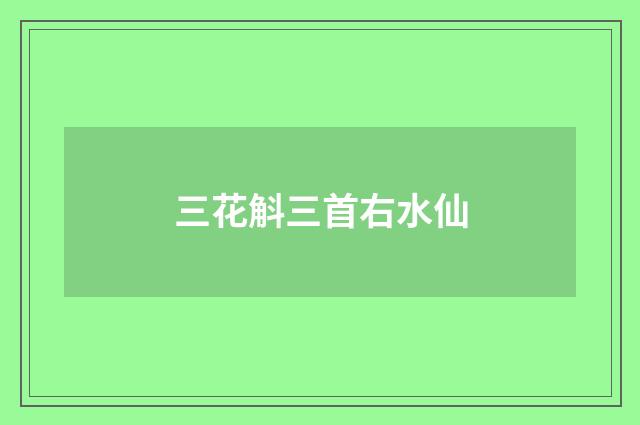 三花斛三首右水仙