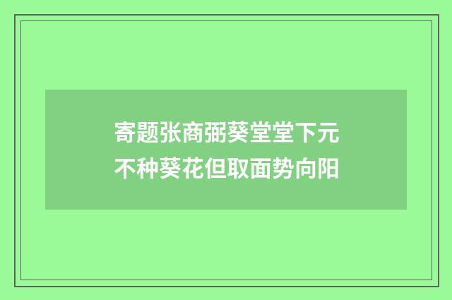 寄题张商弼葵堂堂下元不种葵花但取面势向阳