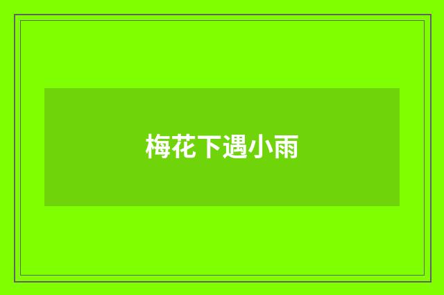 梅花下遇小雨