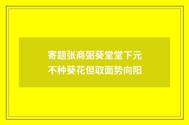 寄题张商弼葵堂堂下元不种葵花但取面势向阳