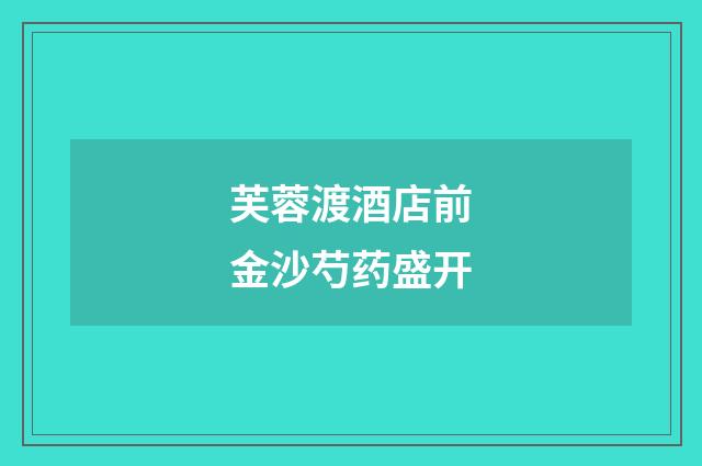 芙蓉渡酒店前金沙芍药盛开