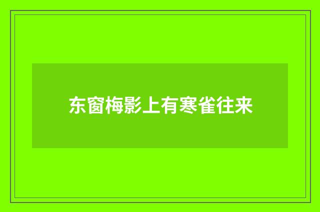 东窗梅影上有寒雀往来