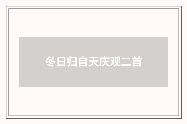 冬日归自天庆观二首