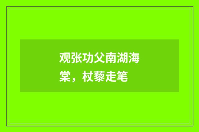 观张功父南湖海棠，杖藜走笔