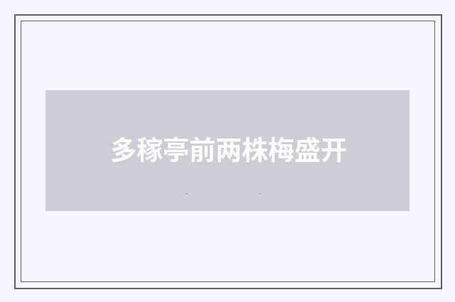 多稼亭前两株梅盛开