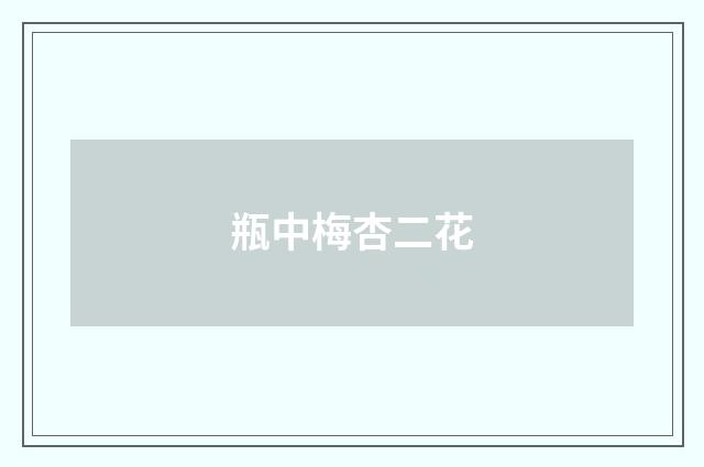 瓶中梅杏二花